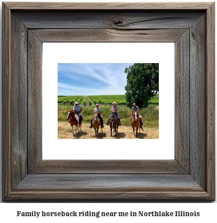 family horseback riding near me in Northlake, Illinois